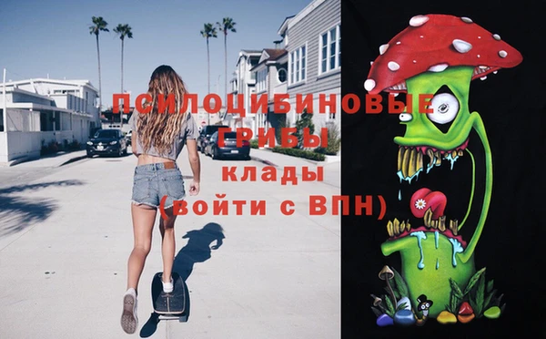 ПСИЛОЦИБИНОВЫЕ ГРИБЫ Магадан